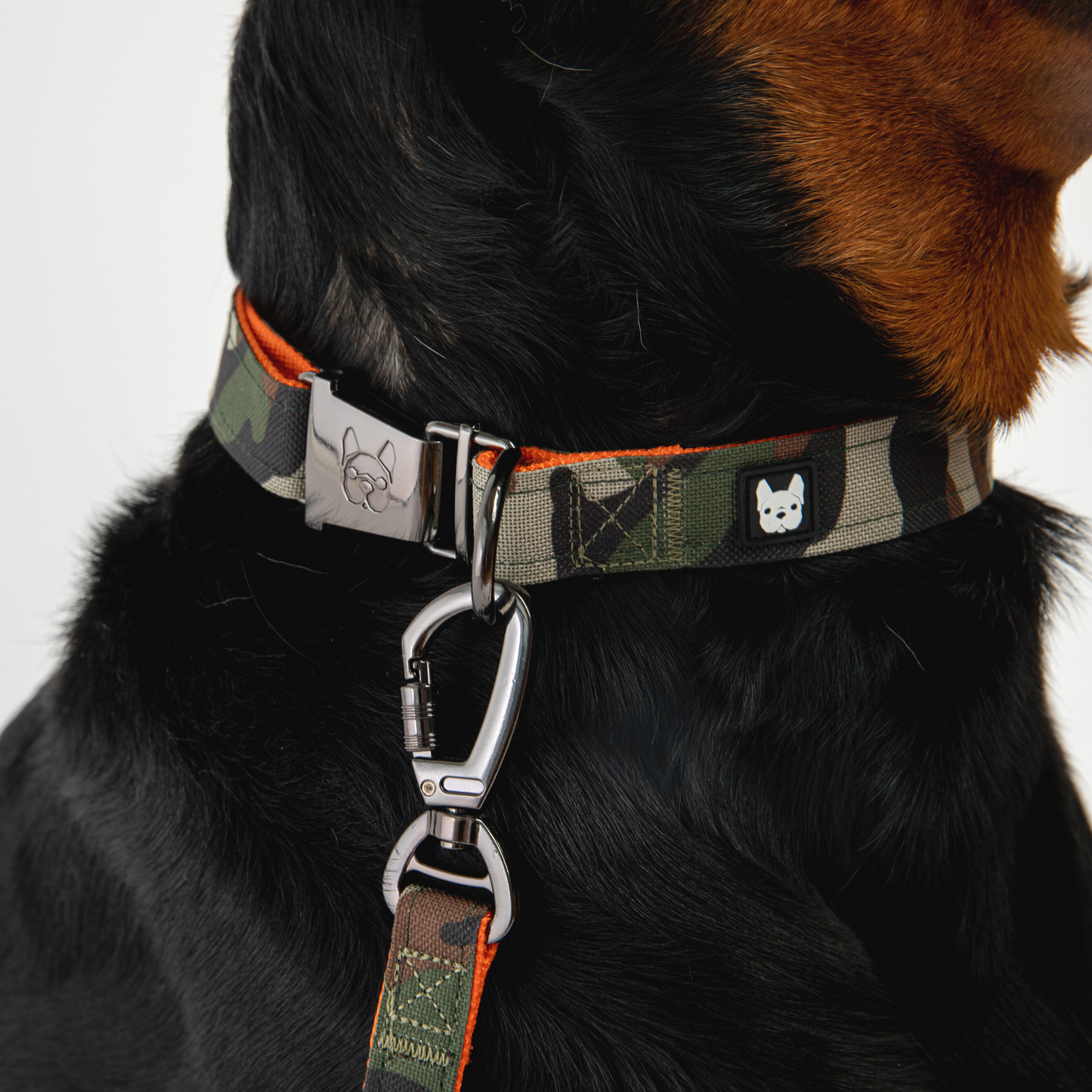 Poplin Camo Dog Leash – Durable Leash with Padded Handle & Secure