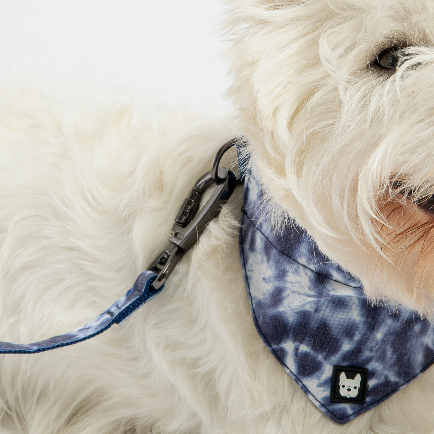 ๐ Poplin Dog Leash โ Blue Tie-Dye Durable Leash with Padded Handle &