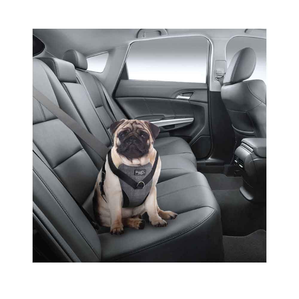 S Dog Harness 2 in 1 Combo - Car Travel Rides + Walks - No Pull Leash