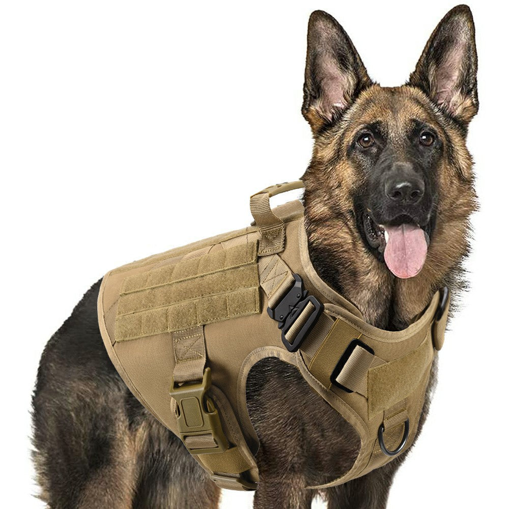 Collars and harnesses